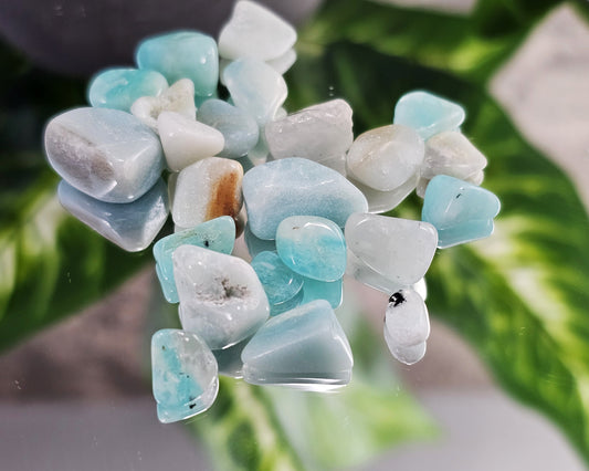 Amazonite Chips, Small Tumbles, Half Ounce Bag