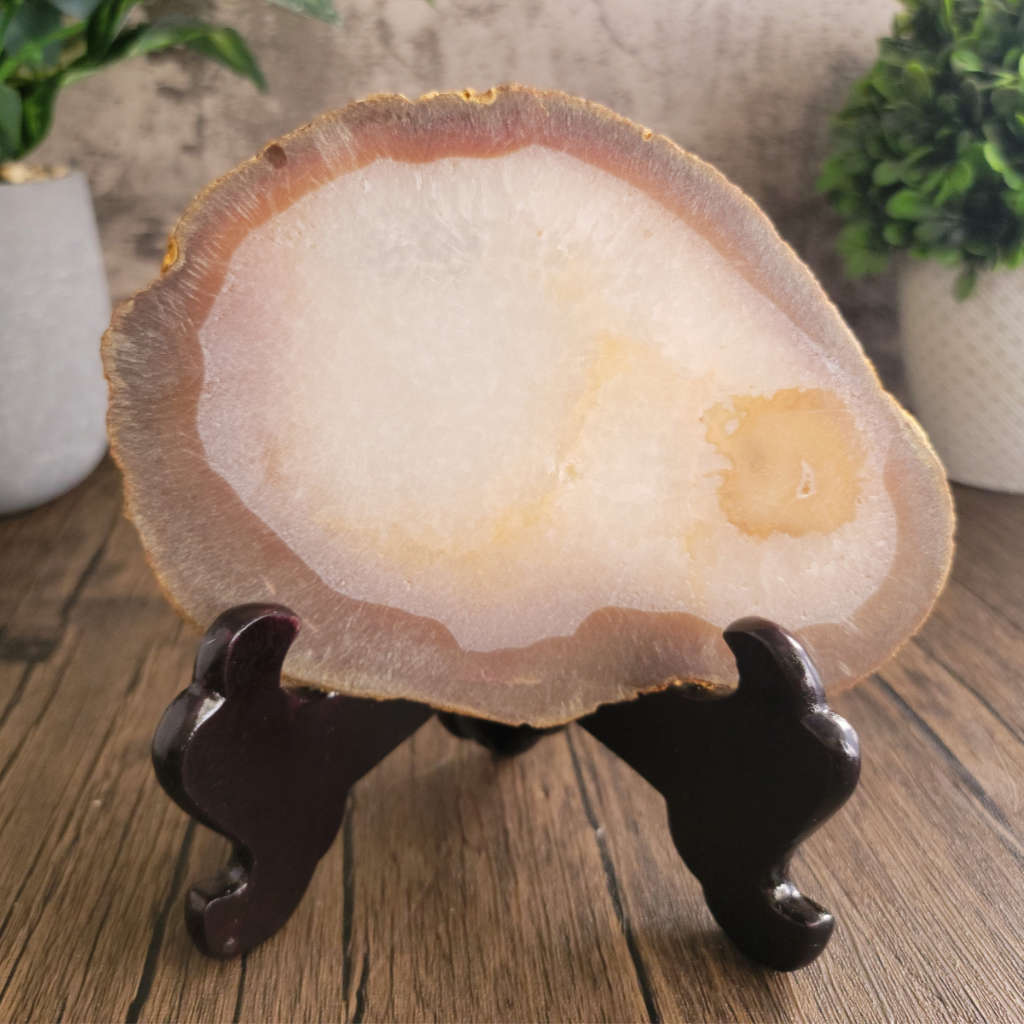 Agate Slice with Bighorn Sheep Ram Picture, 6.5"