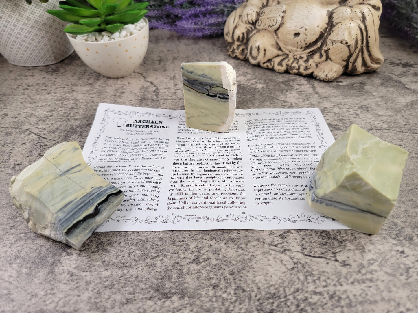 Archaen Butterstone, Polished and Raw