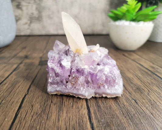 Amethyst Geode Cluster with Calcite Double Point and Druzy