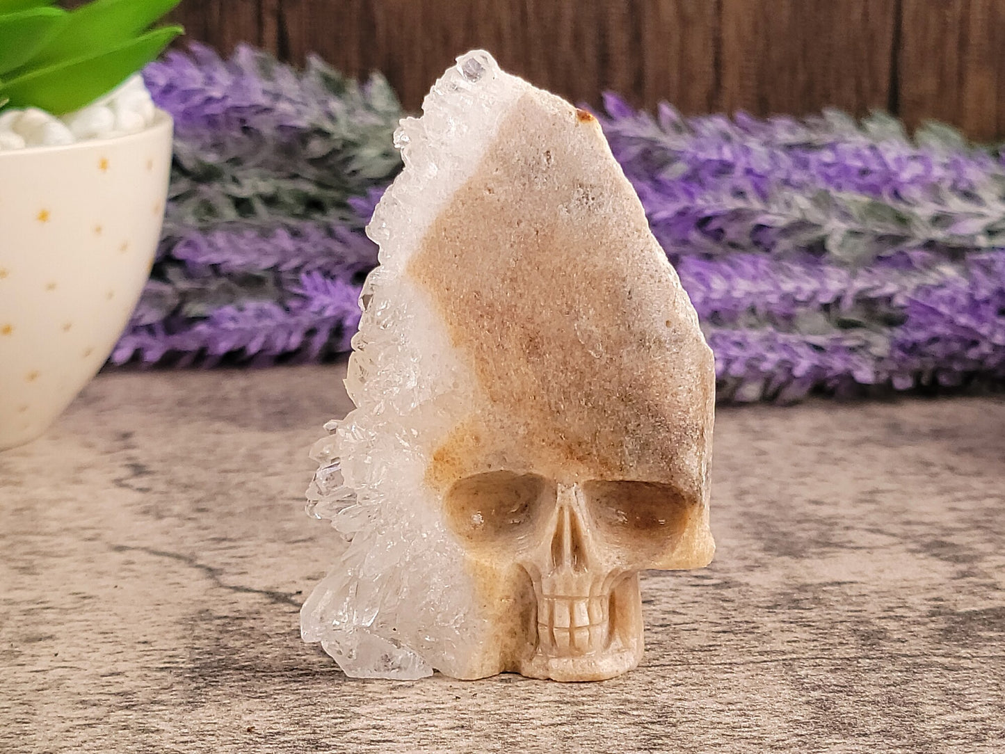 Chrysanthemum Clear Quartz Cluster Hand Carved Crystal Skull