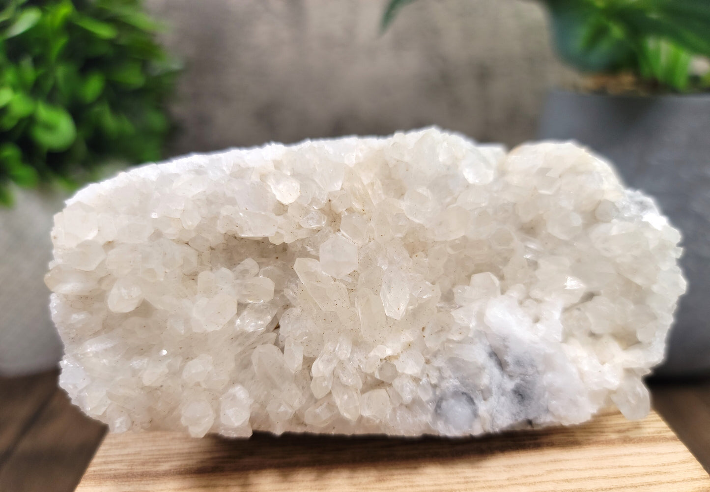 Calcite and Clear Chrysanthemum Quartz Cluster Hand Carved Octopus, 4.25"