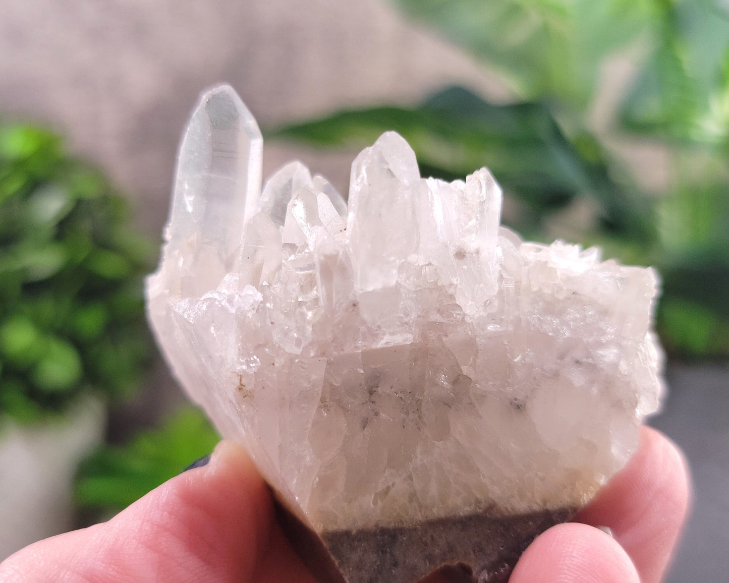 Chrysanthemum Clear Quartz Cluster Hand Carved Crystal Skull