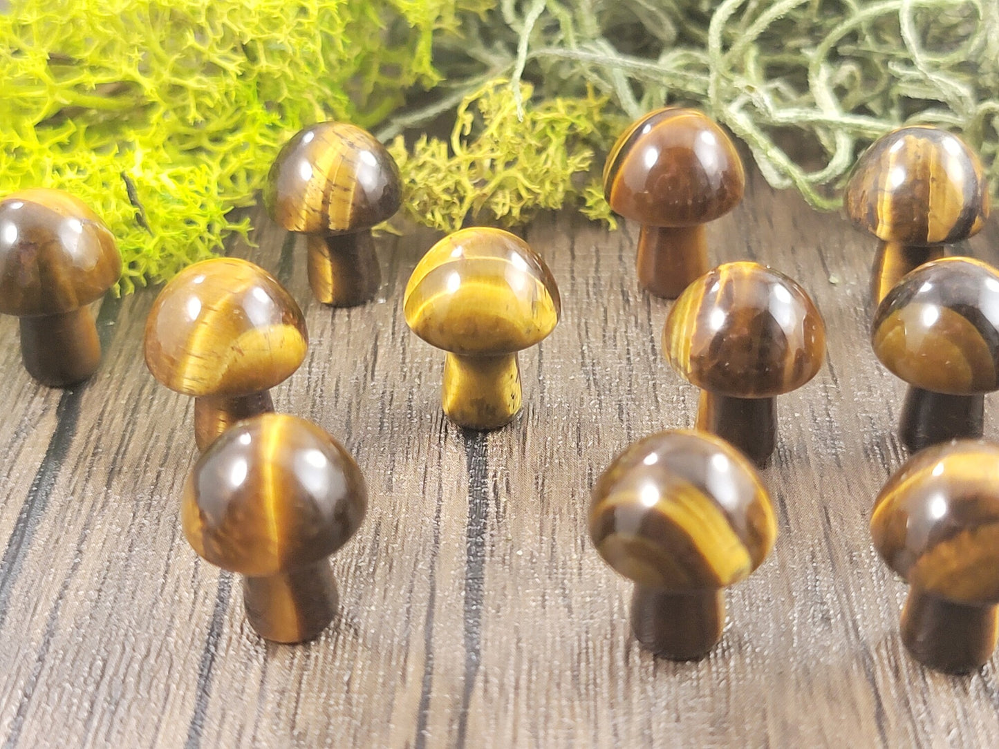 Tiger's Eye Mini Mushrooms