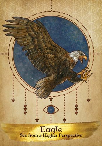 Angels and Ancestors Oracle Cards by Kyle Gray