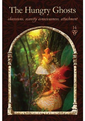 Wisdom of the Hidden Realms Oracle Cards by Colette Baron-Reid