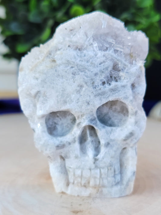 Skulls – Crystal Galaxy Shop