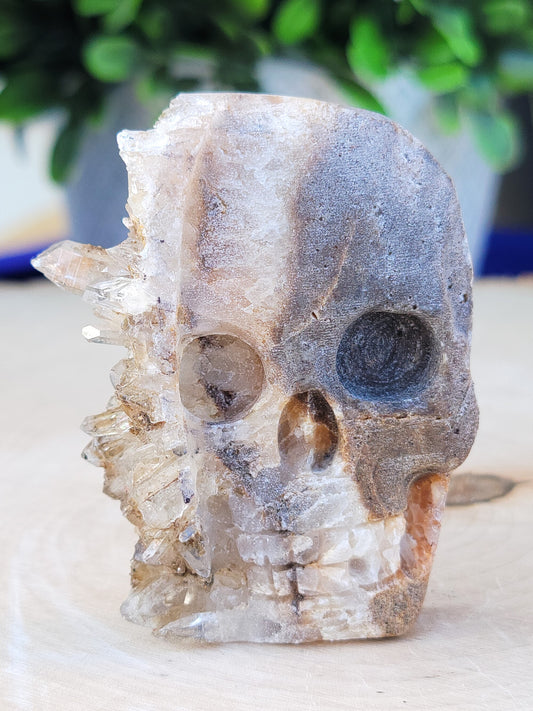 Chrysanthemum Clear Quartz Cluster Hand Carved Crystal Skull