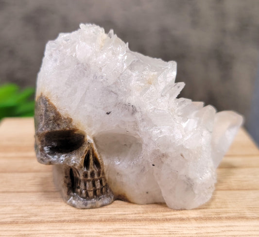 Chrysanthemum Clear Quartz Cluster Hand Carved Crystal Skull